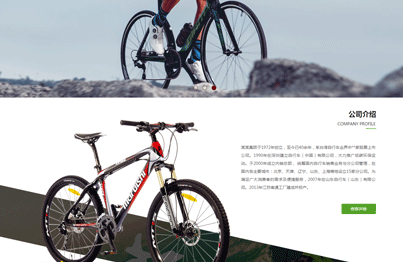 運動類網站(zhàn)案例圖片